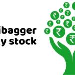 Multibagger Penny stock